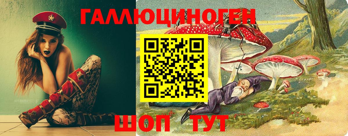 Каспийск  где найти наркотики  Вход с VPN  Галлюциногенные грибы Psilocybine cubensis 