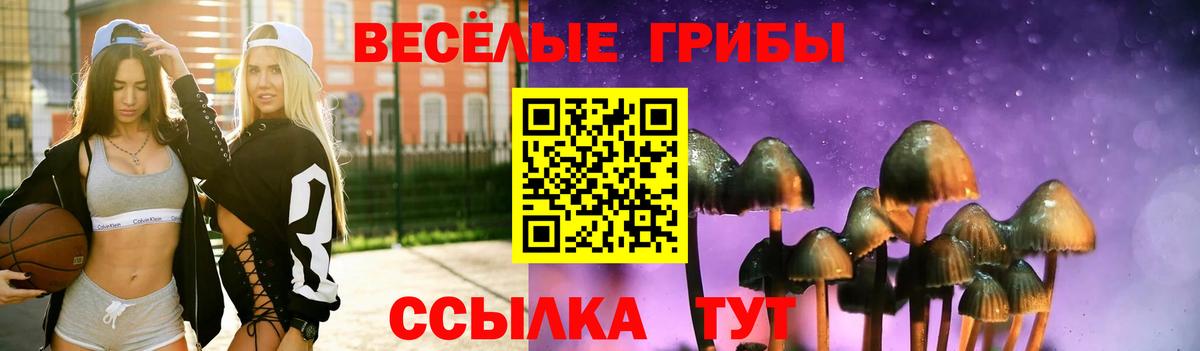 Псилоцибиновые грибы Psilocybe Каспийск